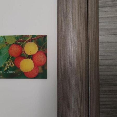 Sa Mama 'E Su Sole Bed & Breakfast Cagliari Dış mekan fotoğraf